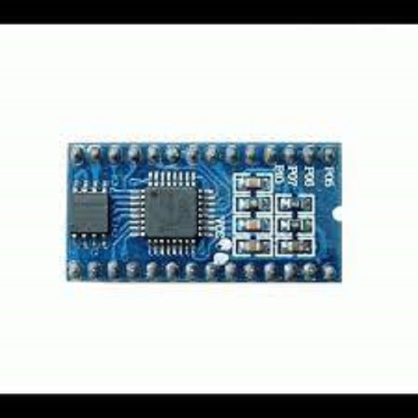 WT-588P V-1.2 Voice module