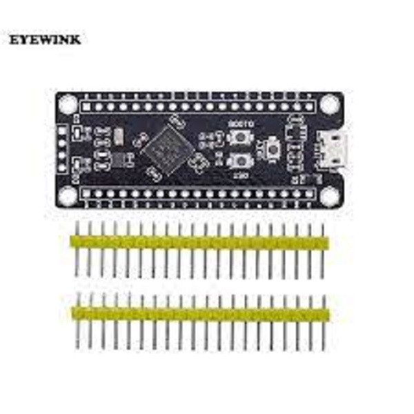 Micro USB  STM32-F401 Development Board Black Pil